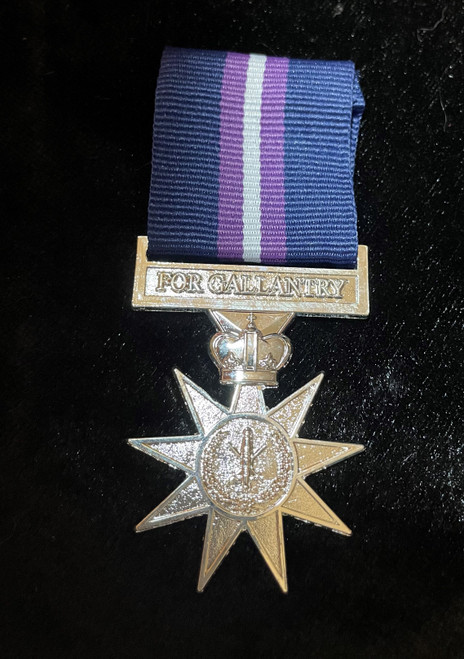 22 - Navy Star Medal