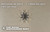 IAN Leutnant der Sterne - O-1 Sleeve Star patch (Pair)