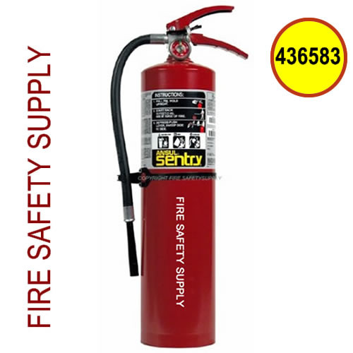 Ansul 436583 Sentry FORAY Industrial Extinguisher, 10 lb. (AA10SI