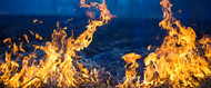 Wildfire Season Is Here: Is Your Property Fire-Ready?