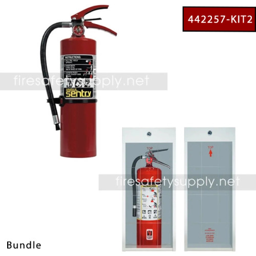 Bundle - Ansul 436500 Sentry FORAY Extinguisher, 10 lb. & Williams