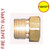 Getz 1G51577 Regulator Air Stem Nut