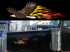 American Eagle flames decal on Peterbilt 379