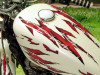 Go from mild to Wild with or motorcycle graphics kit!