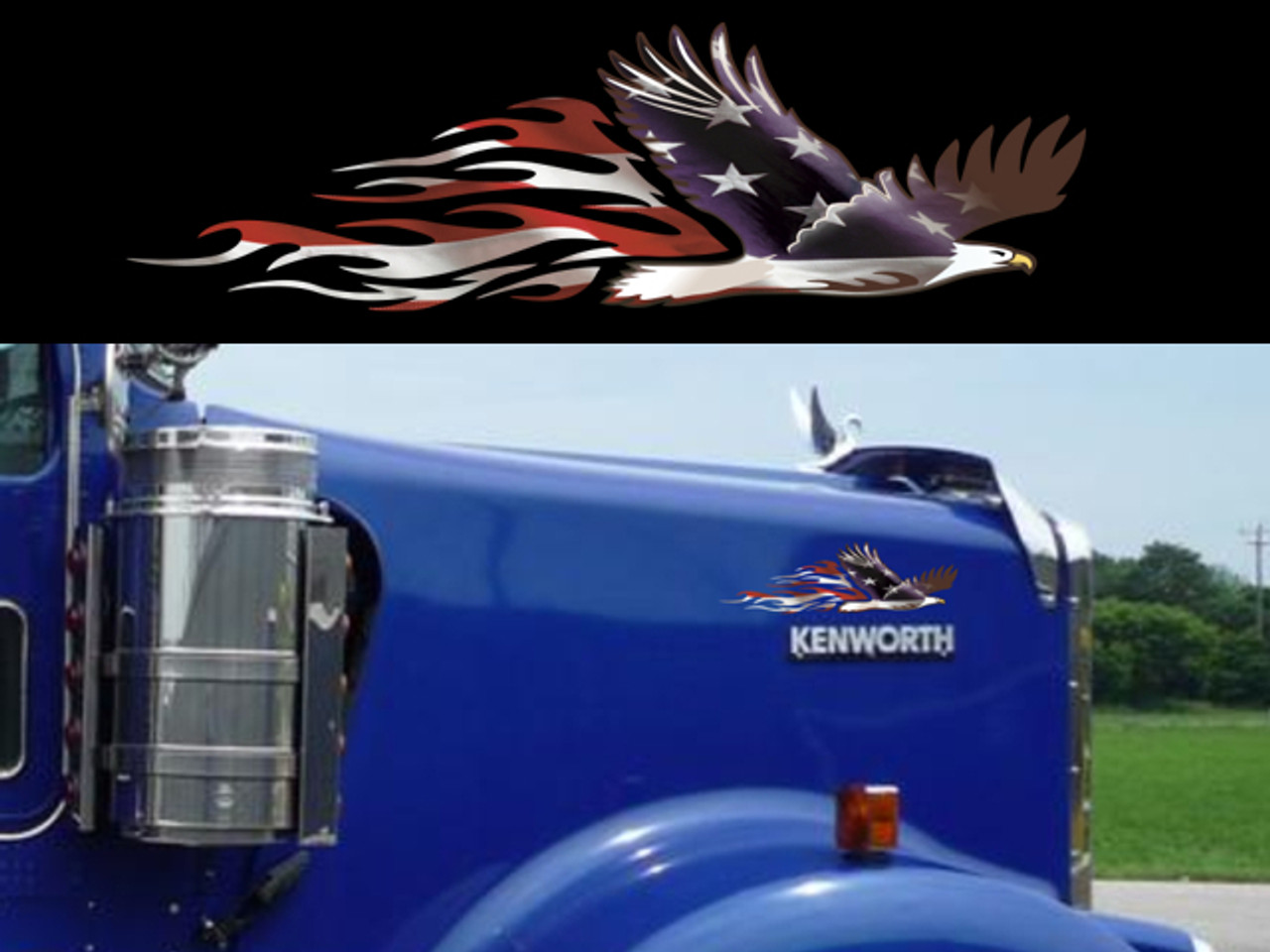 Shown on a Kenworth W900 hood.