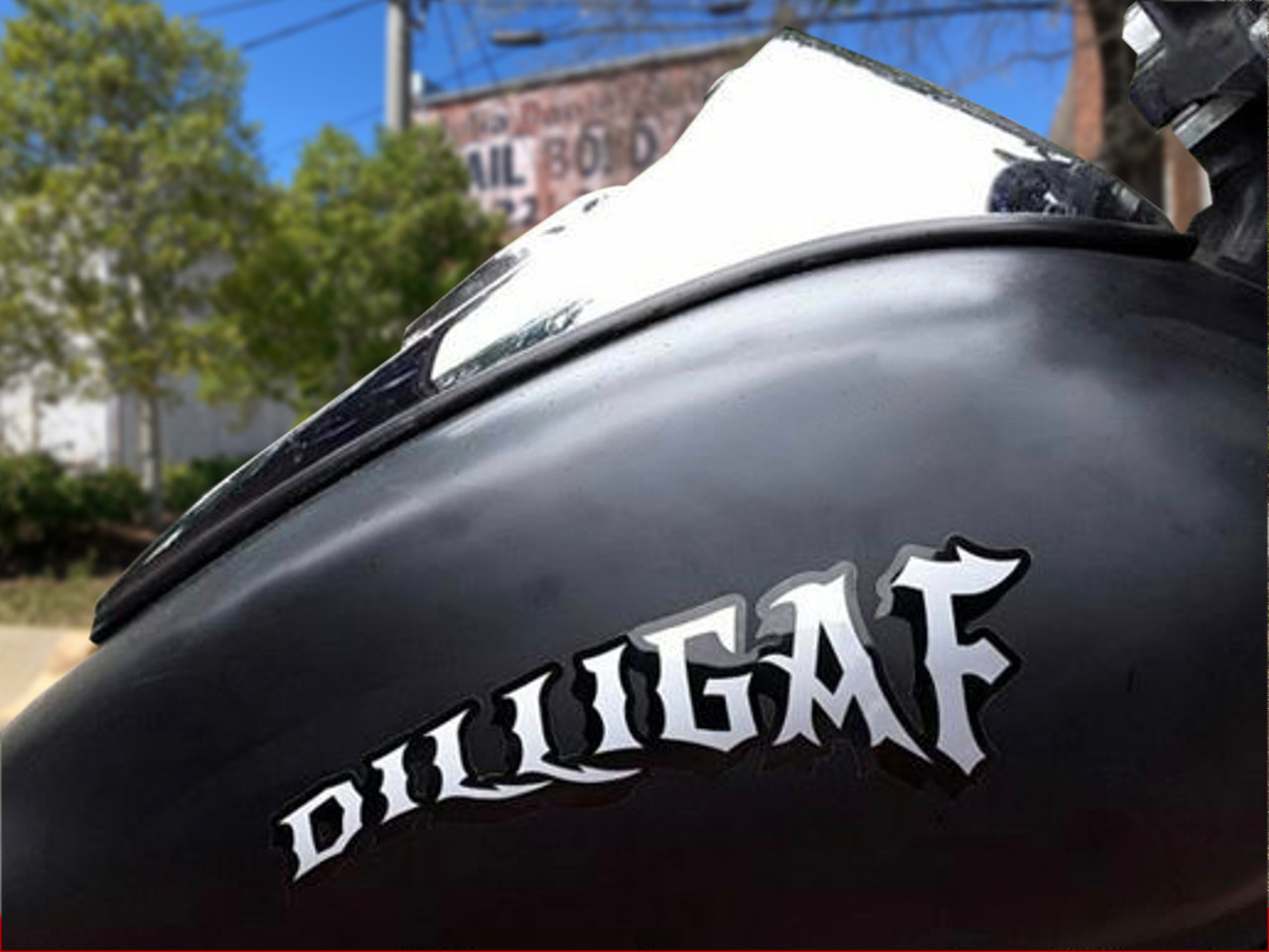 DILLIGAF, Tank fender fork decals (2 piece set) pick from 4 colors
