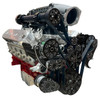 Chevy LS Magnuson Supercharged Reaper Serpentine System - Black Diamond