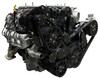 Chevy LT4 Supercharged Reaper Serpentine System - Stealth Black