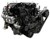 Chevy LT4 Supercharged Reaper Serpentine System - Black Diamond