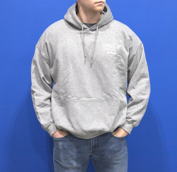 Light Gray Sweatshirt - 2022