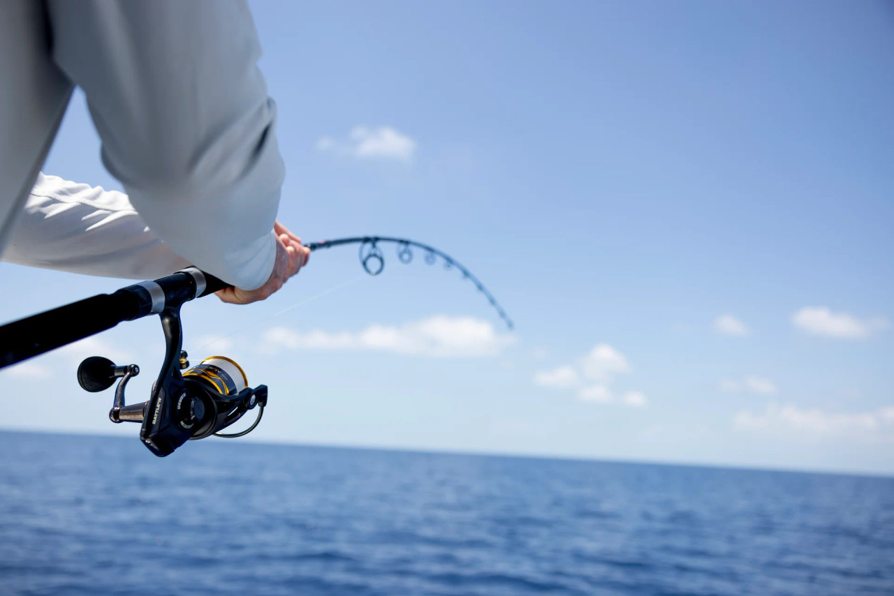 Penn Battle IV Reel Frank Fran's Bait and Tackle