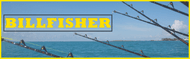 BILLFISHER