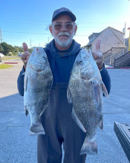 Reeling in the Action: Winter Surf Fishing on Hatteras Island for Black Drum