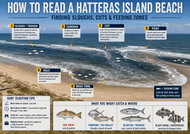 How to Read a Hatteras Island Beach: Finding Sloughs, Cuts, and Feeding Zones