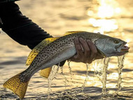 How to Catch Speckled Trout in Pamlico Sound: The Complete Hatteras Island Fishing Guide