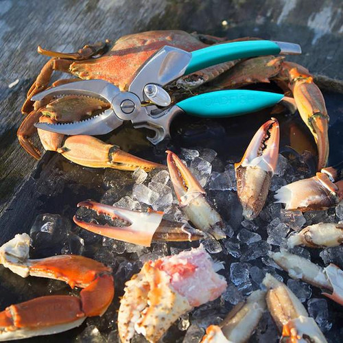 Toadfish Crab Claw Cutter, stainless steel crab claw cutting tool with teal handle on ice with cooked crab claws.