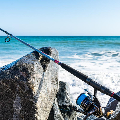Daiwa Fishing Rods & Reels – OBX Surf & Inshore Gear | Frank & Fran's