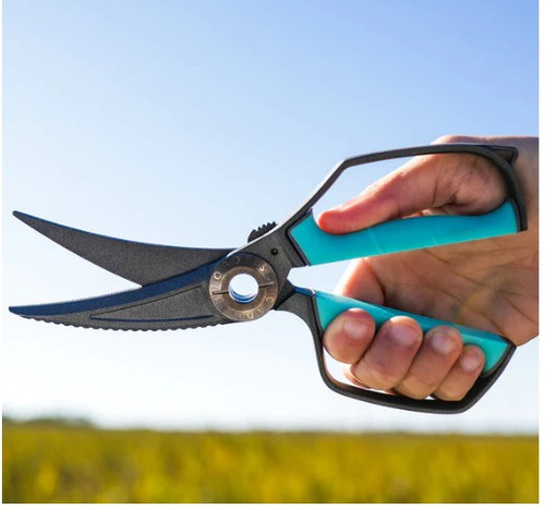 Toadfish Utility Shears