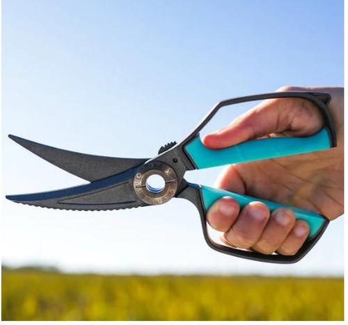 TOADFISH Toadfish Utility Shears, close-up of black and blue handled scissors with serrated blades held in a hand against outdoor background.