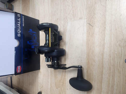 Penn Squall 15 SDCS with Low Profile Knob REELS