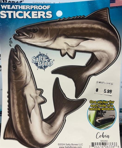 Salty Bones Double Cobia, weatherproof sticker set featuring realistic images of two cobia fish for car windows.