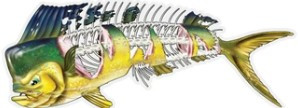 Salty Bones Shredded Mahi Profile