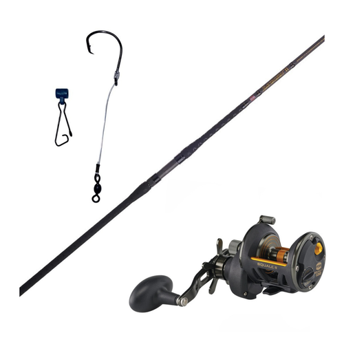 12' Penn Battalion BATSFII2040C12/Penn Squall II 12SD Rigged Combo