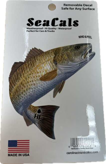 Sea Cal Red Drum OBX, product packaging of a removable decal featuring a detailed illustration of a red drum fish, suitable for cars and trucks, waterproof and weatherproof, made in the USA by Carolina Strand Sales.