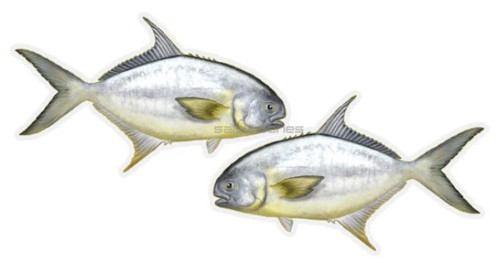 Pompano Profile Fish Stickers
