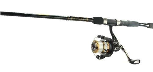 Tsunami Citadel II Spinning Combo