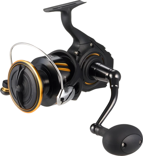 Daiwa BG SW Spinning Reels