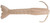 BERKLEY Berkley Gulp Saltwater Shrimp, soft plastic fishing lure resembling a shrimp with segmented body and curled antennae.