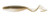 Z-Man FISHING PRODUCTS INC. Z-Man Curly TailZ, soft plastic fishing lure with curly tail and ribbed body for bass fishing.