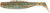 Z-MAN FISHING PRODUCTS INC. Z-Man Diezel MinnowZ soft plastic fishing lure with glitter flakes, beige color with multicolor speckles for bass fishing.