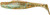 Z-MAN FISHING PRODUCTS INC. Z-Man MinnowZ, soft fishing lure with glittery, translucent body for freshwater and saltwater fishing.