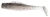 Z-MAN MinnowZ, soft plastic fishing lure in a natural fish pattern with a slender body and paddle tail for freshwater and saltwater bass fishing.