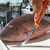 DEXTER RUSSELL Dexter Dextreme Dual Edge Fillet Knife, a professional fishing knife with a dual-edge design, being used to fillet a large fish on a boat dock dockside.