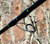 Ninja Tackle 8'6" Dagger Spinning Rod