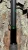 Ninja Tackle 7' Dagger Spinning Rod