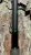 NINJA TACKLE Ninja Tackle 7' Dagger Spinning Rod, black fishing rod with green accents leaning against textured stone wall.