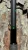 NINJA TACKLE Ninja Tackle 7' Dagger Spinning Rod, close-up view of the fishing rod against a rock wall background.