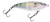 MirrOlure® CS14MR Mini Dine Skin Series Suspending Twitchbait