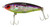 MIRROLURE Mirrolure TT-11 Spotted Trout TT Sinking Twitchbait, detailed close-up of a fishing lure with a holographic, colorful body and treble hooks.