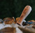 TOADFISH Toadfish Wood Handle Oyster Knife, a wooden oyster shucker knife with a carved design on the handle, resting on ice with oysters in the background.