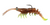 PrawnstarZ 3.5" Shrimp 2pk