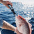 Toadfish Stowaway Fish Grip, a hand holding a fish grip tool and securely holding a red fish with the ocean in the background.