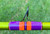 Nick's Custom Rods 2025, close-up of a colorful fishing rod with vibrant purple and orange design and a black guide ring against a green grassy background.