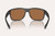 NATIVE Native Gorge Polarized Sunglasses, black frame with brown polarized lenses.