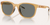 Native Targhee Polarized Sunglasses
