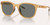 NATIVE Native Targhee Polarized Sunglasses, stylish sunglasses with a transparent tan frame and dark polarized lenses.
